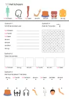 Voorbeeld - Basiswoordenschat Mijn lichaam - Pagina 1