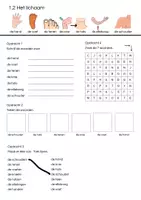 Voorbeeld - Basiswoordenschat Mijn lichaam - Pagina 2