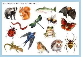 Vorschau - Arbeitsblätter - Lesestreifen Tiere im Winter und Tierlexikon - Seite 1