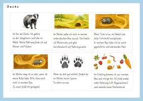 Vorschau - Arbeitsblätter - Lesestreifen Tiere im Winter und Tierlexikon - Seite 3
