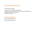 Vorschau - Merkblätter - Dass-Sätze statt Ergänzung (für DaZ/DaF und Deutsch) - Seite 3