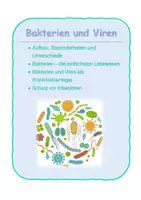 Vorschau - Arbeitsblätter - Bakterien und Viren - Deckblatt