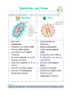 Vorschau - Arbeitsblätter - Bakterien und Viren - Seite 2
