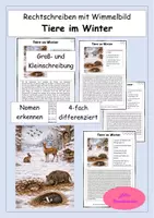 Vorschau - Stundenentwürfe - Rechtschreiben: Wimmelbild "Tiere im Winter" - Groß- und Kleinschreibung - DEUTSCH FÜR ZWISCHENDURCH - Deckblatt