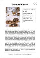 Vorschau - Stundenentwürfe - Rechtschreiben: Wimmelbild "Tiere im Winter" - Groß- und Kleinschreibung - DEUTSCH FÜR ZWISCHENDURCH - Seite 3