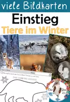 Vorschau - Stundenentwürfe - Komplettpaket - Tiere im Winter mit vielen Kopiervorlagen - Seite 1