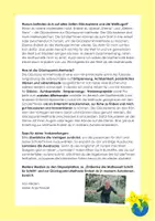 Vorschau - Arbeitsblätter - Stöpselplatte – Arbeitsheft Teil 2, Addition Zahlenraum 1-5 bzw. 1-10 – Förderbereich, Förderschule - Seite 2