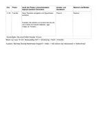 Vorschau - Stundenentwürfe - "Tschick" Examensstunde (sehr gut) mit Entwurf u. Rasterplanung - Seite 3