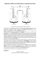 Vorschau - Poster - Übersicht: Aufbau und funktionsweise von galvanischen Zellen - Seite 1