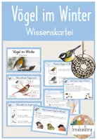 Vorschau - Anderer Materialtyp - Wissenskartei Vögel im Winter - Deckblatt