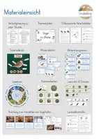 Vorschau - Stundenentwürfe - Vögel im Winter - GESAMTPAKET - Klasse 3 (inkl. Stundenentwürfe) - Seite 3