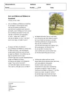 Vorschau - Merkblätter - 2-fach differenzierte Arbeit/ Test, Balladen, Inhaltsangabe + Balladenmerkmale Herr von Ribbeck auf Ribbeck im Havelland - Seite 1