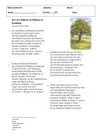 Vorschau - Merkblätter - 2-fach differenzierte Arbeit/ Test, Balladen, Inhaltsangabe + Balladenmerkmale Herr von Ribbeck auf Ribbeck im Havelland - Seite 3