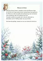 Vorschau - Mal- und Bastelvorlagen - Pflanzen im Winter XXL 6 Strategien Sachtexte Quiz Ausmalbilder Interaktive Präsentation! - Seite 3