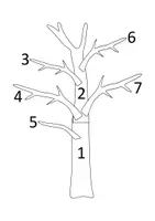 Vorschau - Mal- und Bastelvorlagen - Eulen Baum Bastelvorlage in zwei Größen - Kunst in der Grundschule - Seite 3