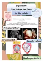 Vorschau - Arbeitsblätter - Sexualerziehung: Experiment zum Schutz des Fetus im Mutterleib - Seite 1