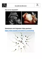 Vorschau - Arbeitsblätter - Sexualerziehung: Experiment zum Schutz des Fetus im Mutterleib - Seite 2