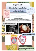 Vorschau - Arbeitsblätter - Sexualerziehung: Experiment zum Schutz des Fetus im Mutterleib - Deckblatt