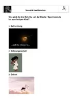 Vorschau - Arbeitsblätter - Sexualerziehung: Experiment zum Schutz des Fetus im Mutterleib - Seite 3
