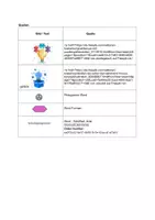 Vorschau - Arbeitsblätter - Physik – Puzzle 31 Wärmetransport Teil 2 Wärmeströmung - Seite 2