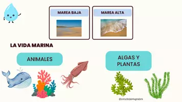 Vista previa - Unidades / Secuencias / Situaciones de Aprendizaje - NECESITAMOS EL AGUA PARA VIVIR - página 2