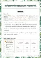 Vorschau - Anderer Materialtyp - Meine Tigerspuren - Rückblick 2025 & Ausblick 2026 - Freebie - wertschätzendes Leporello zu Neujahr | Klasse 1 - Seite 1