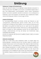 Vorschau - Stundenentwürfe - Zufallsspuren: Einheitsplanung und Anleitung - Seite 2