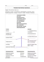 Vorschau - Stundenentwürfe - Wettbewerb und Kartell - Seite 3