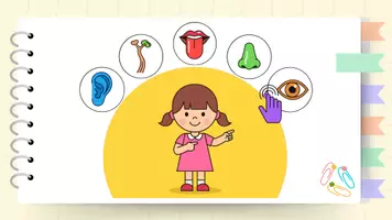anteprima - Esercizi - Descrivere un animale. Classe seconda Scuola Primaria - Pagina 3