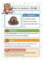 Vorschau - Mal- und Bastelvorlagen - Tiere im Winter XXL: Steckbriefe, Quiz, Ausmalbilder, Interaktive Präsentation - Seite 3