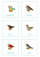Voorbeeld - Vogels voeren in de winter - tellen - Pagina 1