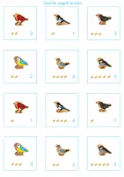 Voorbeeld - Vogels voeren in de winter - tellen - Pagina 2