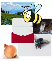 Vorschau - Bildkarten - Einstieg Wörter mit ie - Deckblatt