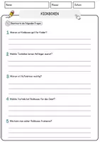 Vorschau - Arbeitsblätter - Kickboxen Sport Lesetext mit Richtig Falsch Multiple Choice und Offenen Fragen - Seite 3