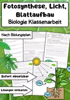 Vorschau - Arbeitsblätter - Fotosynthese, Licht, Blattaufbau Klassenarbeit Klasse 7 - Deckblatt