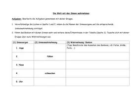 Vorschau - Arbeitsblätter - Gruppenspiel zu den Sinneswahrnehmungen - Seite 2