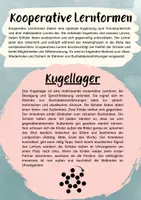 Vorschau - Fördermaterial/Inklusion - Buchstabeneinführung Sch - Laut Sch - Kugellager Sch - Seite 1