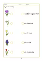 Vorschau - Arbeitsblätter - Frühblüher | Wortschatz 2. Klasse | lesen lernen - Seite 3
