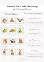Vorschau - Bildkarten - Bundle: Tiere im Winter (Bildkarten + Steckbriefe) - Seite 1