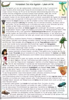 Vorschau - Arbeitsblätter - Ägypten Hörweg, Einstieg, Sachtext, Hörverständnis, Hörverstehen - Seite 2