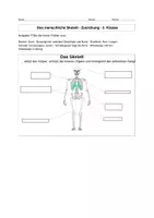 Vorschau - Stundenentwürfe - Materialpaket: Biologie von der 5. - 9. Jahrgangsstufe - Schuljahresende - Seite 3