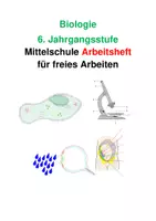 Vorschau - Stundenentwürfe - Biologie 6. Jahrgangsstufe Mittelschule Arbeitsheft für freies Arbeiten - Seite 1