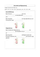 Vorschau - Stundenentwürfe - Biologie 7. Jahrgangsstufe Mittelschule Arbeitsheft für freies Arbeiten - Seite 3