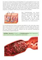 Vorschau - Arbeitsblätter - Arterien, Venen und Kapillaren Biologie - Seite 3