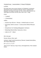 Vorschau - Arbeitsblätter - Frühblüher – Leseverstehen | 2. Klasse | Sachtext + Arbeitsblätter - Seite 2