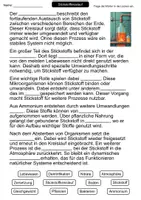 Vorschau - Arbeitsblätter - Stickstoffkreislauf | Lückentext | Chemie | Stoffkreisläufe | Umwelt - Seite 1