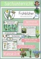 Vorschau - Arbeitsblätter - Frühblüher Wissenskartei Klasse 2-4 - Deckblatt