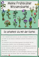 Vorschau - Arbeitsblätter - Frühblüher Wissenskartei Klasse 2-4 - Seite 1