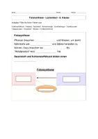 Vorschau - Unterrichtsreihen - Biologie 8. Jahrgangsstufe Mittelschule Arbeitsheft für freies Arbeiten - Seite 2