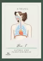 Vorschau - Arbeitsblätter - Atmungssystem - Aufbau der Lunge und Funktionsweise, Infotexte und Aufgaben, Bio 8 - Deckblatt